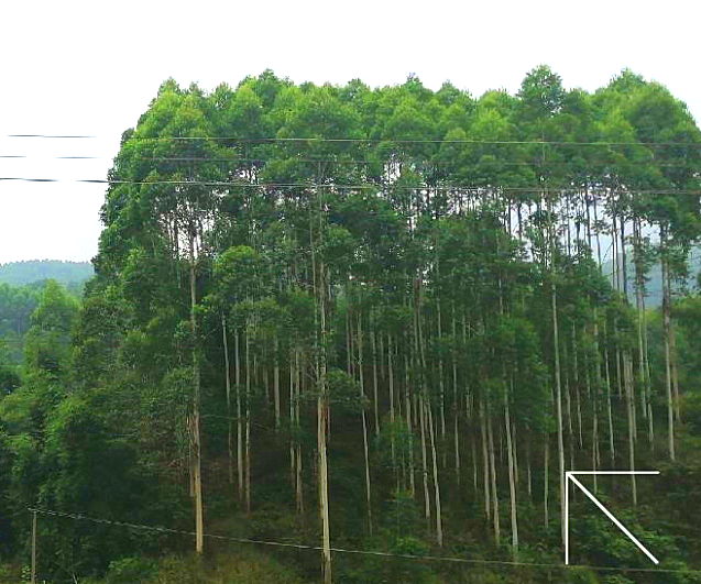 1584092904492841.png 大观牟家1_看图王.png