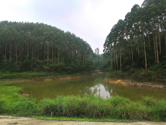 1592290250106436.jpg 2.jpg