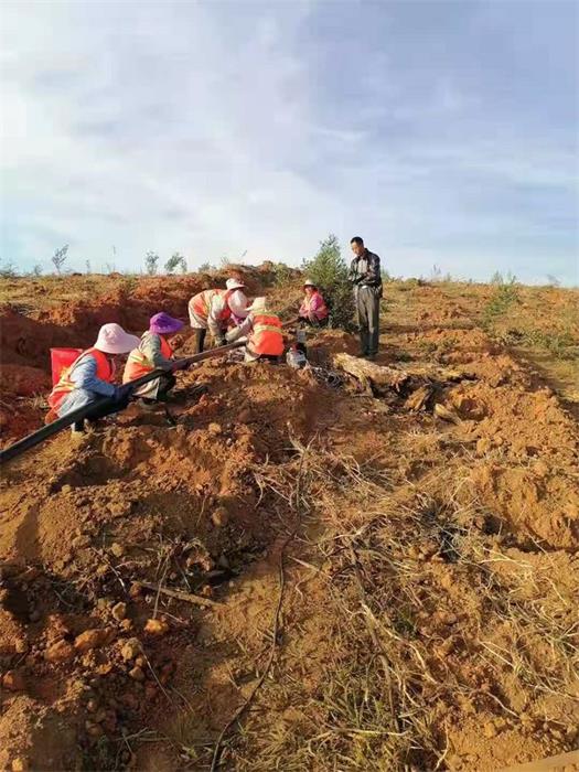 1608090489235442.jpg 2.jpg