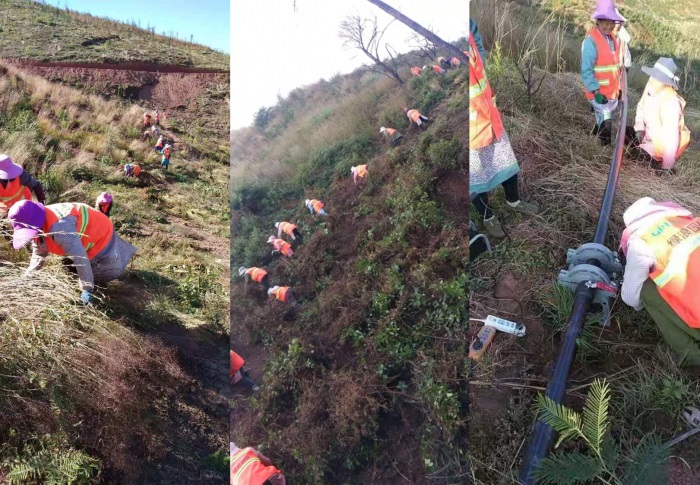 1608090525807888.jpg 111.jpg